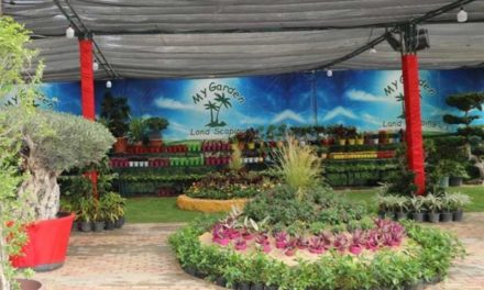 Egypt’s Agriculture Museum Blooms with the 90th Spring Flowers Exhibition