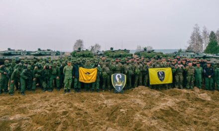 Singapore and German Armies Conduct Bilateral Live-Firing in Germany