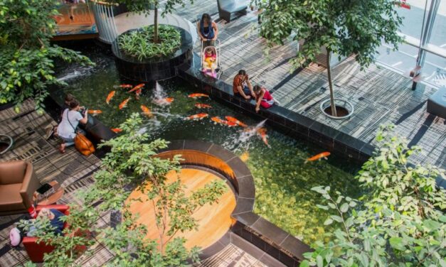 From Toilets to Towers: How Changi Airport is Saving Water by the Pool-load