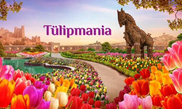 Tulipmania 2025: Tracing the Timeless Bloom from Türkiye to Singapore