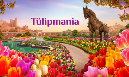 Tulipmania 2025 Blooms with Turkish Heritage