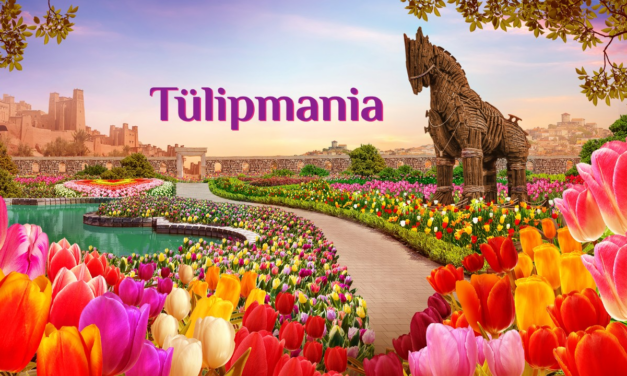 Tulipmania 2025 Blooms with Turkish Heritage