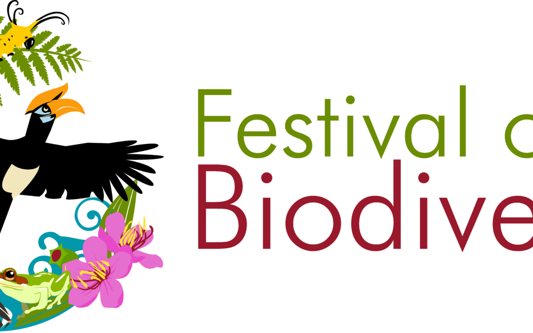 Festival of Biodiversity 2025: Celebrating Singapore’s Natural Heritage