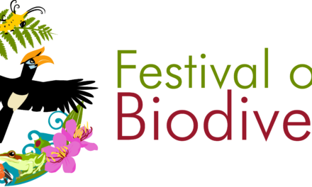 Festival of Biodiversity 2025: Celebrating Singapore’s Natural Heritage
