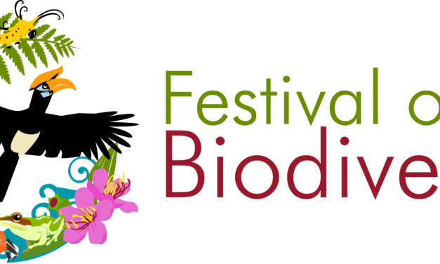 Festival of Biodiversity 2025: Celebrating Singapore’s Natural Heritage