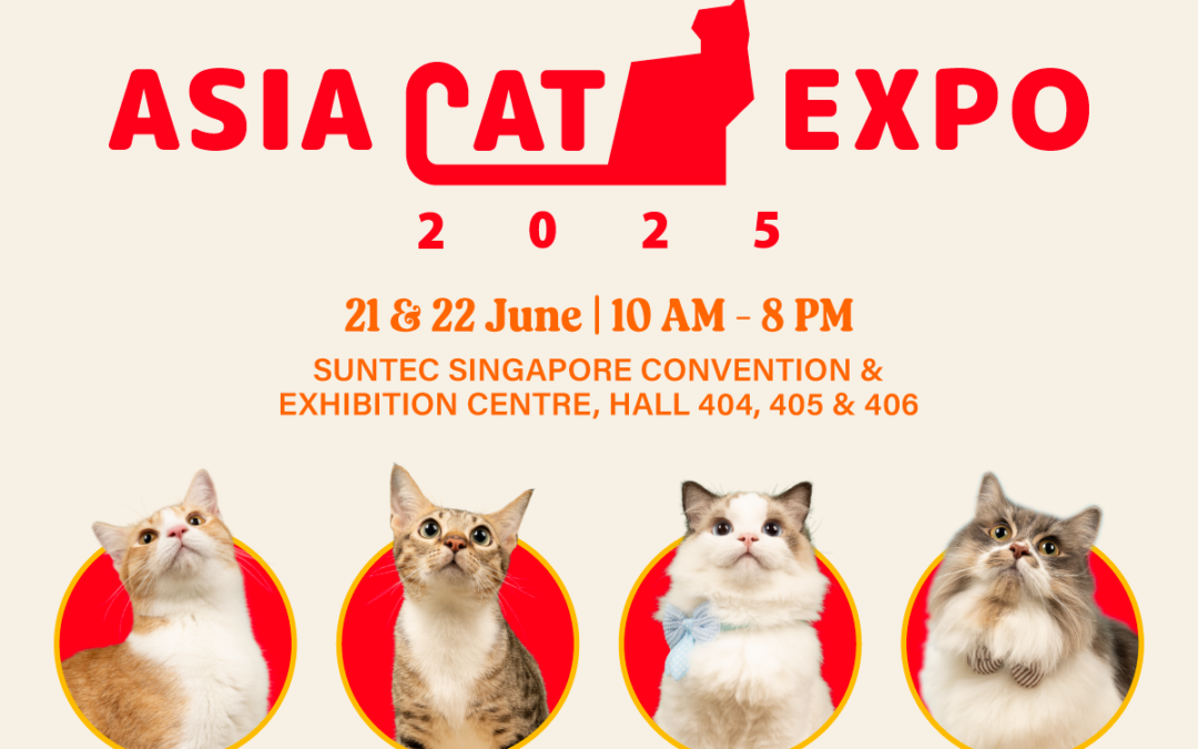 Asia Cat Expo 2025 Set to Bring Feline Fans Together in Singapore