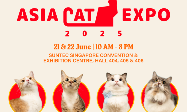 Asia Cat Expo 2025 Set to Bring Feline Fans Together in Singapore