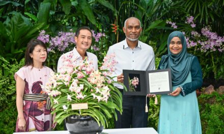 President Muizzu and First Lady Receive Orchid Tribute and Diplomatic Welcome in Singapore