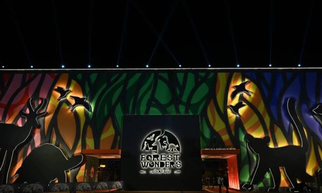 Families Flock to Jeddah’s New ‘Forest Wonders’