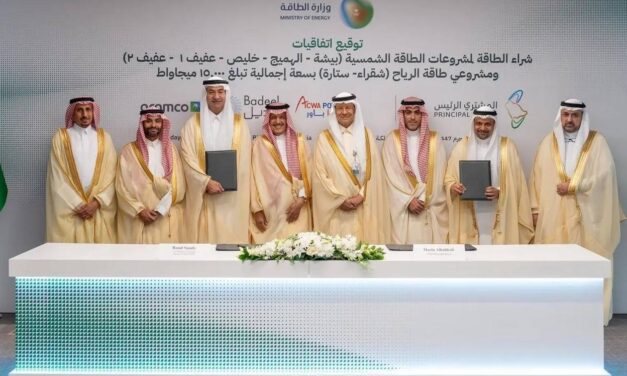 Saudi Arabia Boosts Renewable Energy with US$8.3 Billion Deals