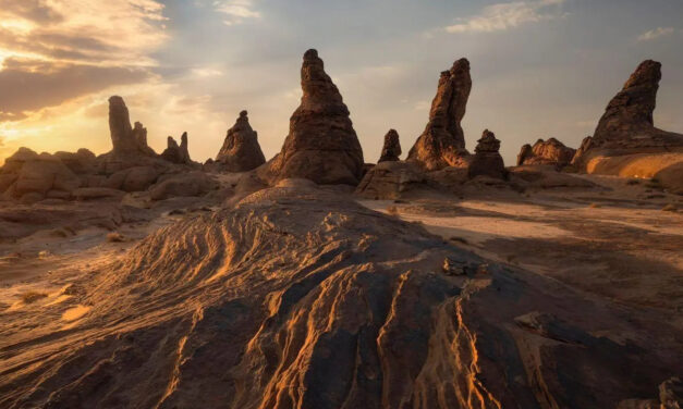 King Salman Reservation Pioneers Ecotourism and Conservation Efforts