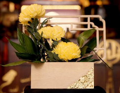 Tradition Meets Modern Living: NHB’s Craft X Design 2.0 Showcases Homegrown Talent