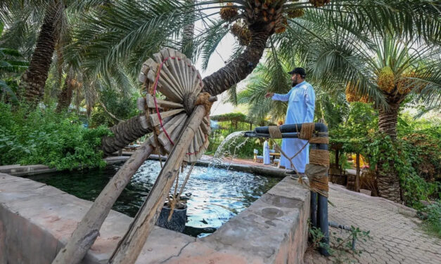 Hail’s Farms Offer Authentic Rural Tourism in Saudi Arabia