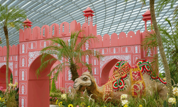 Ajmeri Gate Blooms at Gardens by the Bay’s Sunflower Surprise Floral Display