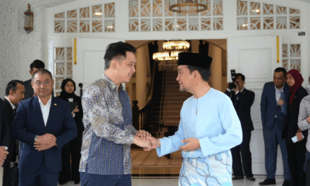 Singapore and Johor Reviewed Progress on JS-SEZ and Cross-Border Cooperation