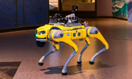Singapore Launches AI Robodog Guides to Enhance Visitor Experience
