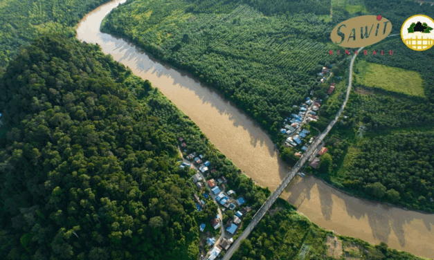 Sungai Pin Conservation Area: Strengthening Biodiversity Corridors in Kinabatangan’s Fragmented Landscape