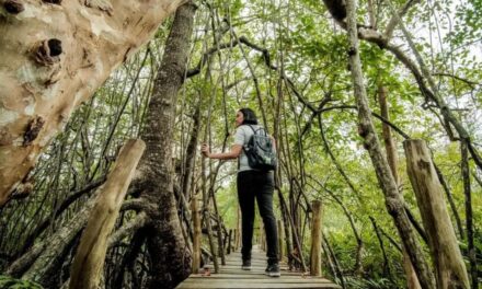 Indonesia Launches 2026 Tourism Safety Program to Strengthen Tourist Destination Standards Nationwide