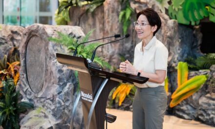 Singapore Opens Rainforest Wild Adventure East, Completing Mandai Wildlife Reserve