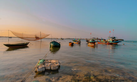 Discover Mui Ne: Vietnam’s Coastal Haven for Kitesurfing