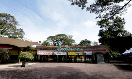 Zoo Negara: Malaysia’s Largest Zoo Offers Wildlife Encounters and Family-Friendly Conservation Experiences