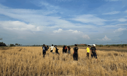 Experience Authentic Malay Village Life at Kampung Sungai Haji Dorani in Sungai Besar