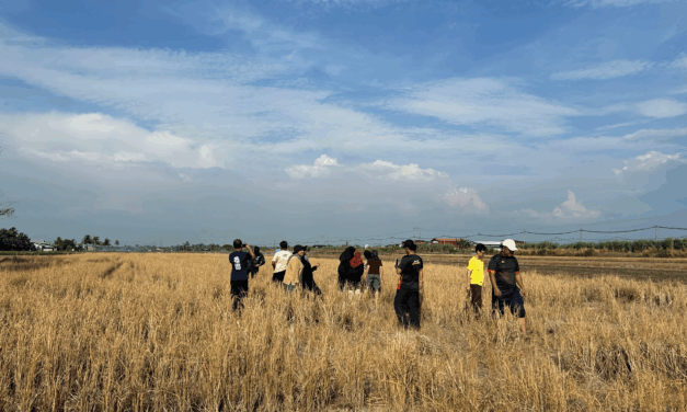Experience Authentic Malay Village Life at Kampung Sungai Haji Dorani in Sungai Besar