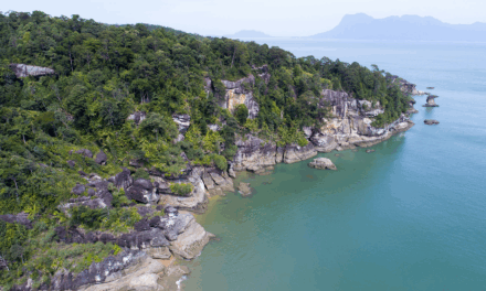 Bako National Park: Discover Sarawak’s Oldest National Park and the Wild Wonders of Borneo